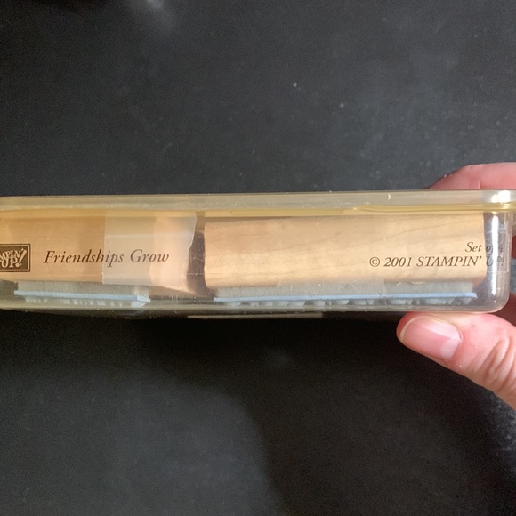 Stampin’ Up! Friendships Grow Stamps - Picture 3 of 3